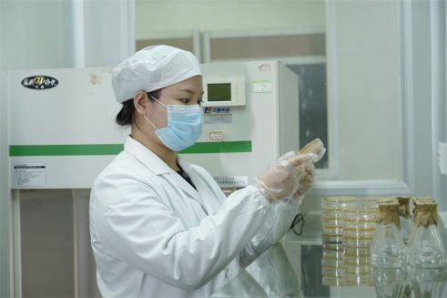 益智玩具中国最佳出口商